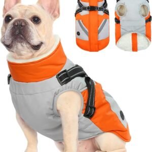 FUAMEY Dog Jacket - Waterproof Winter Coat with Zipper - Reflective Vest for Extra Small Dogs - Orange XS